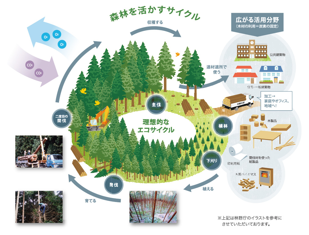 森林を活かすサイクル