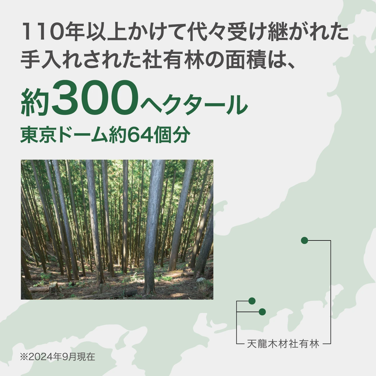 社有林の面積