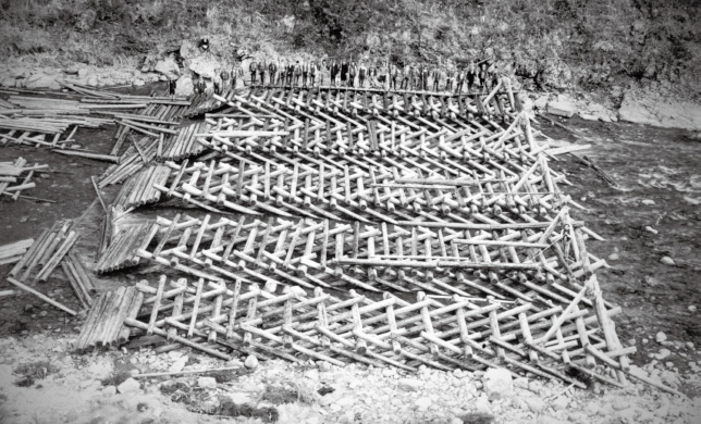 天龍木材110年の原点